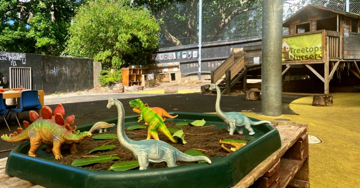 Dinosaurs are very popular at Treetops!