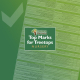 Top Marks for Treetops Nursery, Willesden