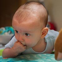 Babies often chew their hands when teething