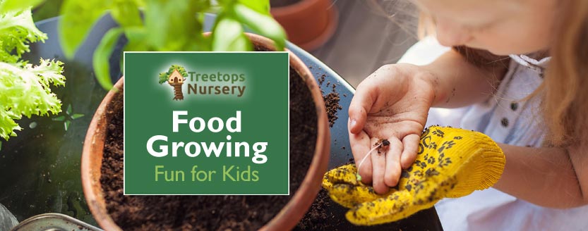 Food Growing Fun for Kids: Teach Children to Grow Vegetables, Salads & Herbs at Home
