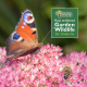 How to Attract Garden Wildlife - for Under-5s