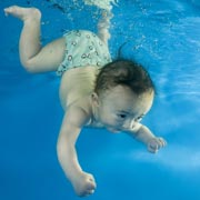 Until 6 months of age, babies automatically hold their breath when under water.