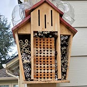 A bug/insect hotel.