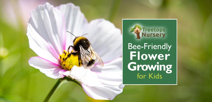 Bee-Friendly Flower Growing for Kids