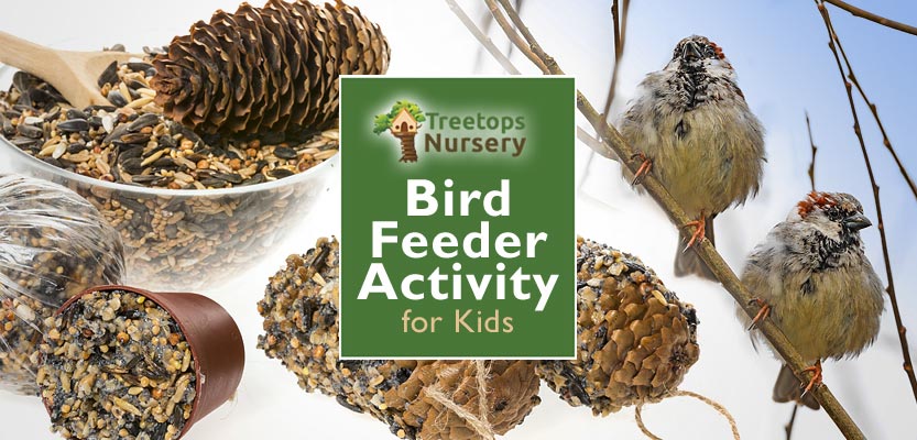 Bird Feeder Making Activity for Kids