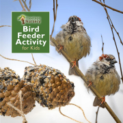 Bird Feeder Activity for Kids