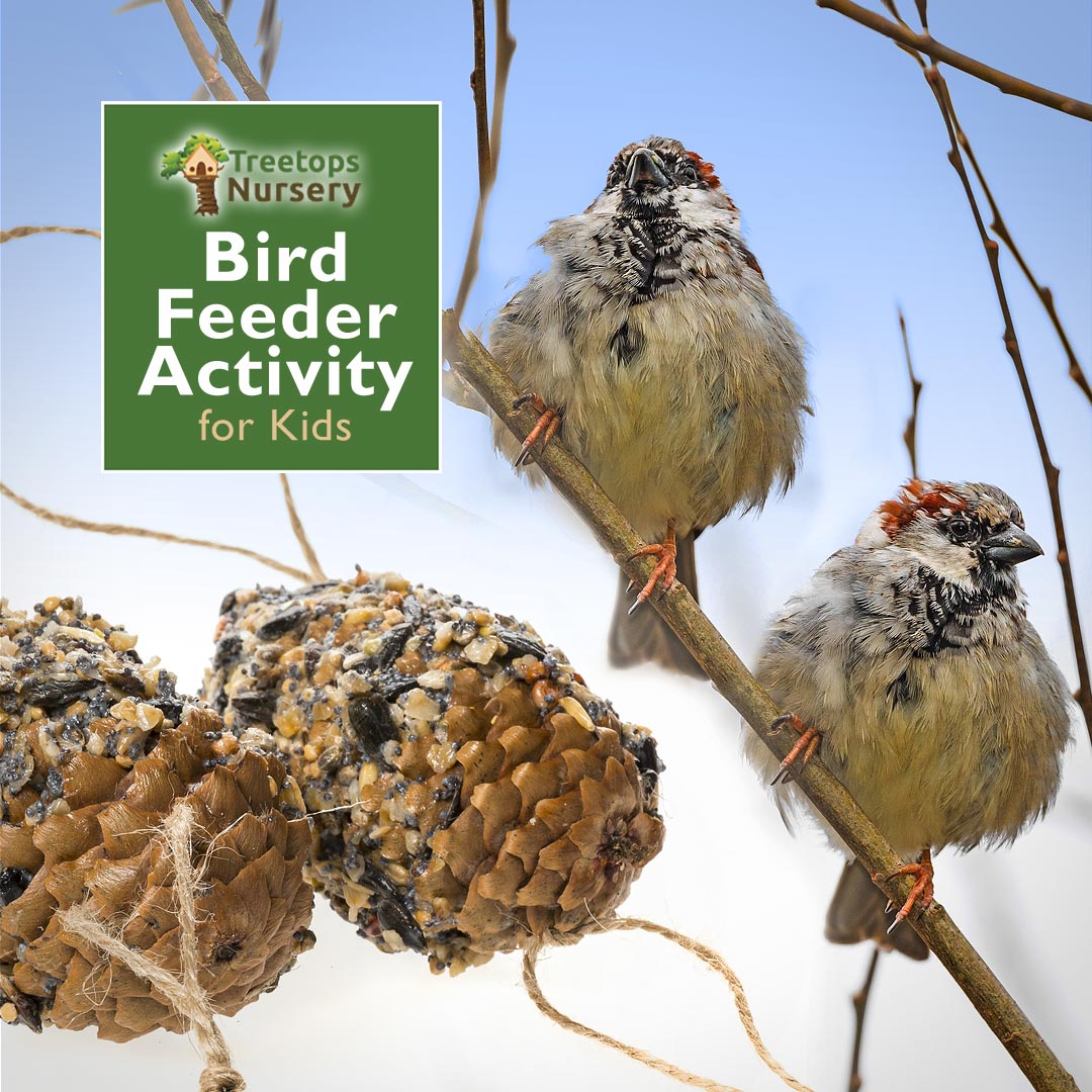 Bird Feeder Making Activity for Kids Fun, Educational & Good for Birds