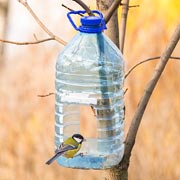 Plastic bottle feeders are amongst the most adaptable of home-made bird feeders.