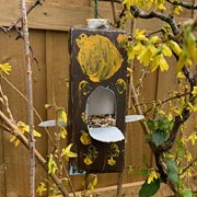 Bird feeders can be great fun when made from used juice or milk cartons.