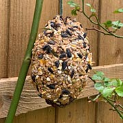 Pine cone bird feeders are easy and fun for children to make.