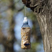 To protect from attack from above by birds of prey, bird feeders should be located ideally under some kind of ‘overhang’.
